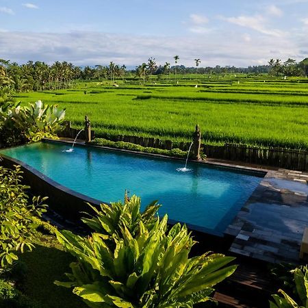 Padi Bali Eco Villas Payangan Zewnętrze zdjęcie