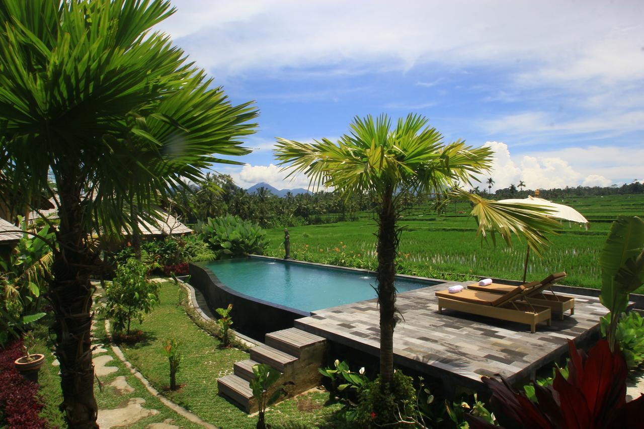 Padi Bali Eco Villas Payangan Zewnętrze zdjęcie